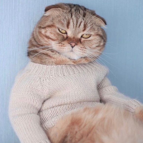 Meet your Posher, Nicole - Picture 1 of 1